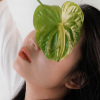 ILai